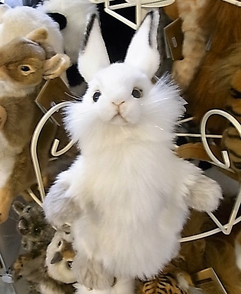 HANSA ハンドパペット シロウサギ 7156 RABBIT PUPPET : HONDA STORE
