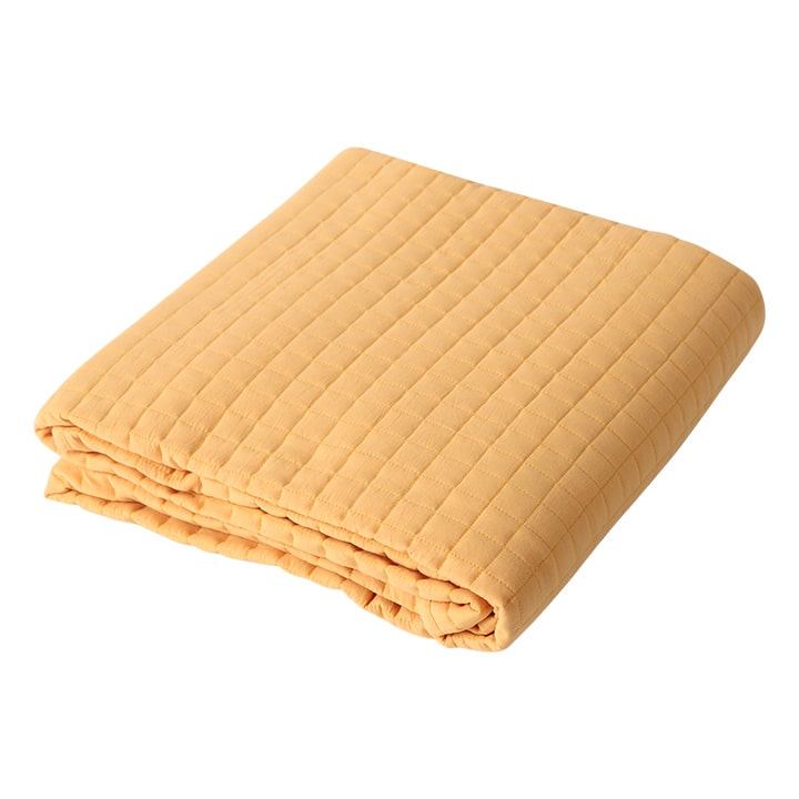 イケヒコ マルチカバー ソファカバー ベッドスプレッド 約200×200cm