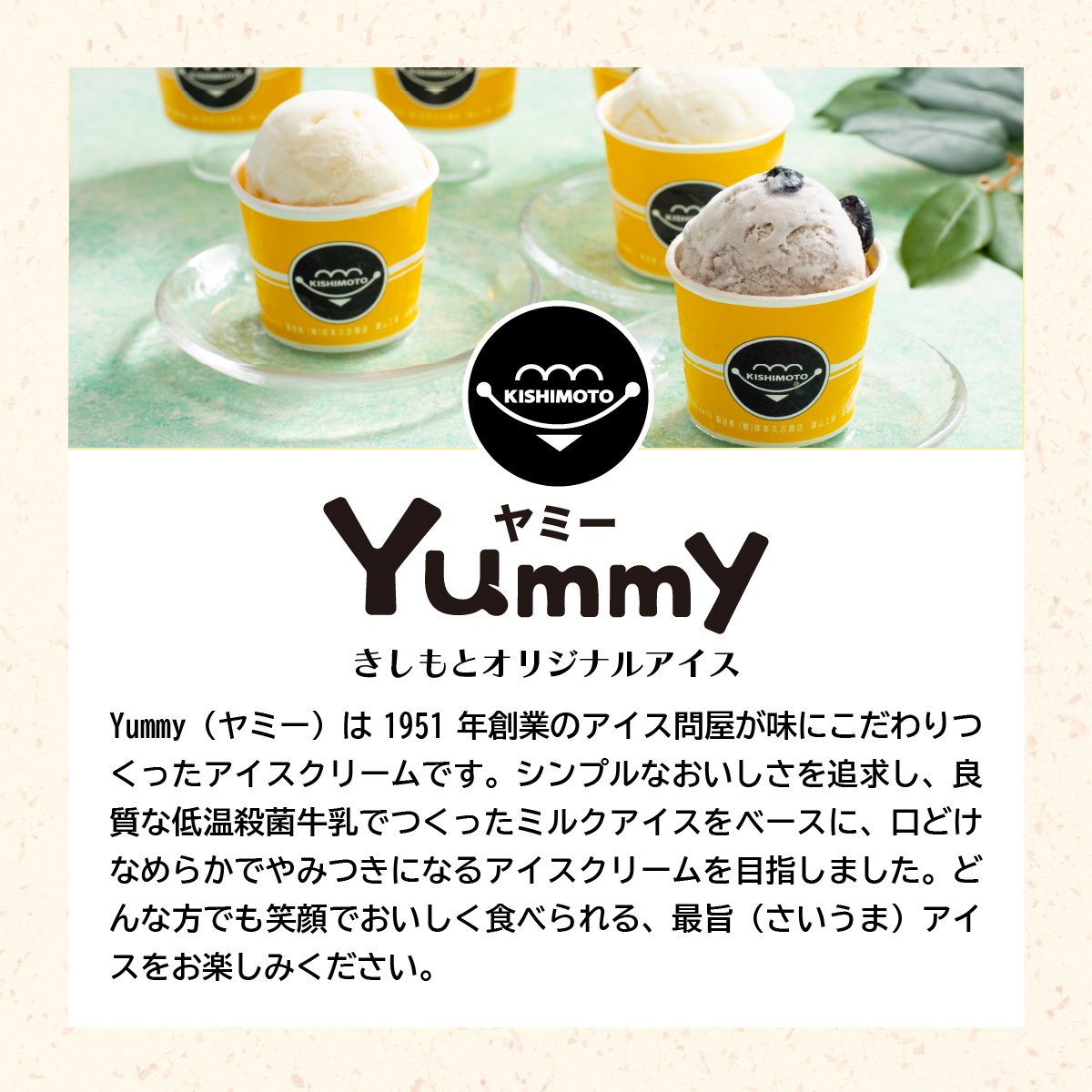 業務用 アイスクリームのきしもと バニラアイスクリーム Yummy ヤミー