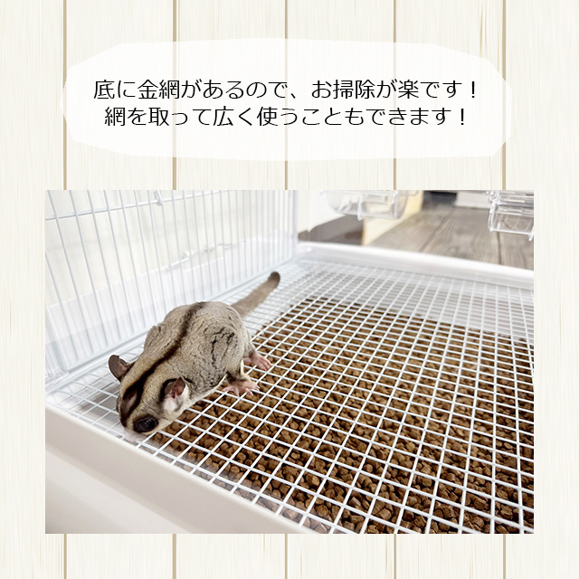 三晃商会 SANKO イージーホーム クリアー モモンガ40 WH