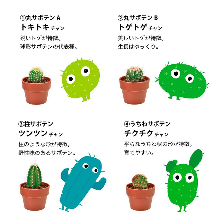栽培キット サボテン 聖新陶芸 SEISHIN ガチャ さぼてん ギフト
