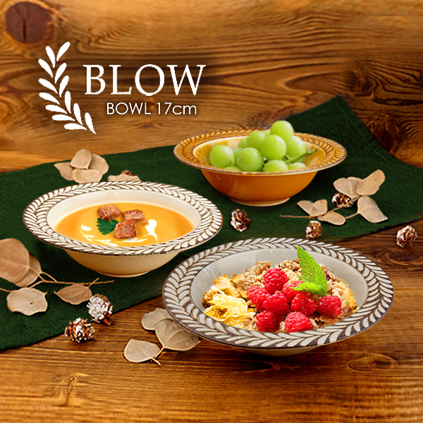 スープボウル 17.2cm 300cc おしゃれ 深皿 オートミール ボウル ボール