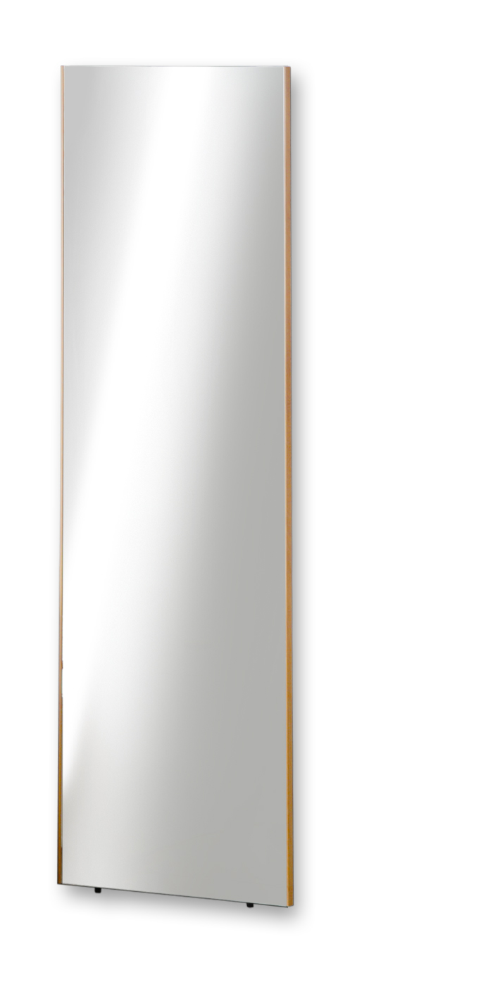 KAGUWORLD 割れない鏡 超軽量 姿見 50x160x2cm 姿見 大型ミラー 壁掛け