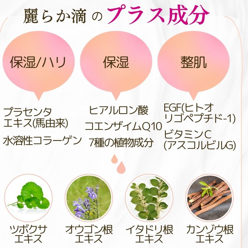 ヒト幹細胞 美容液 国産 馬プラセンタ 高配合 お試し価格 ヒト幹細胞