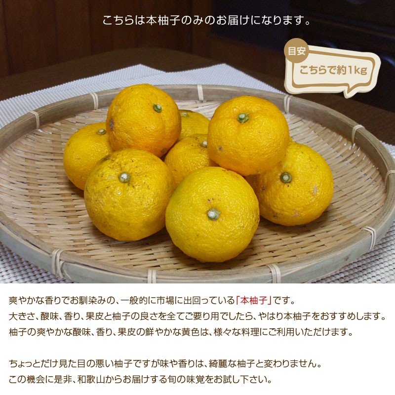 産地直送！ 和歌山県 訳あり 本柚子（ゆず） 1kg ※サイズ不揃い : koji