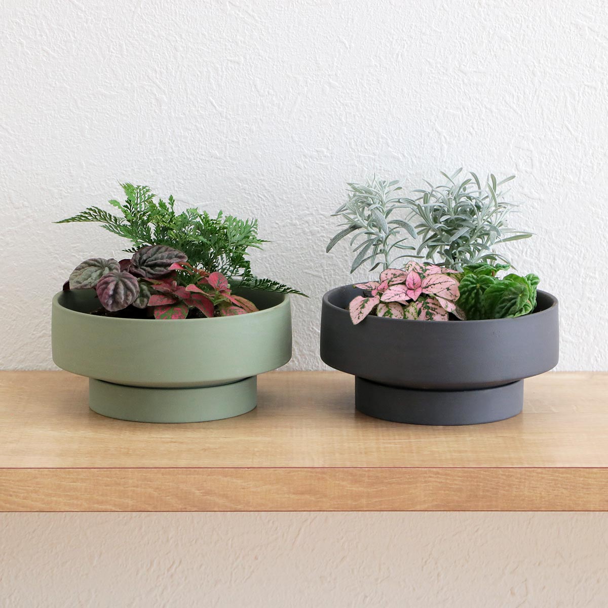 magnet 植木鉢 Stef セラミック （ プランター プラントポット 植物用