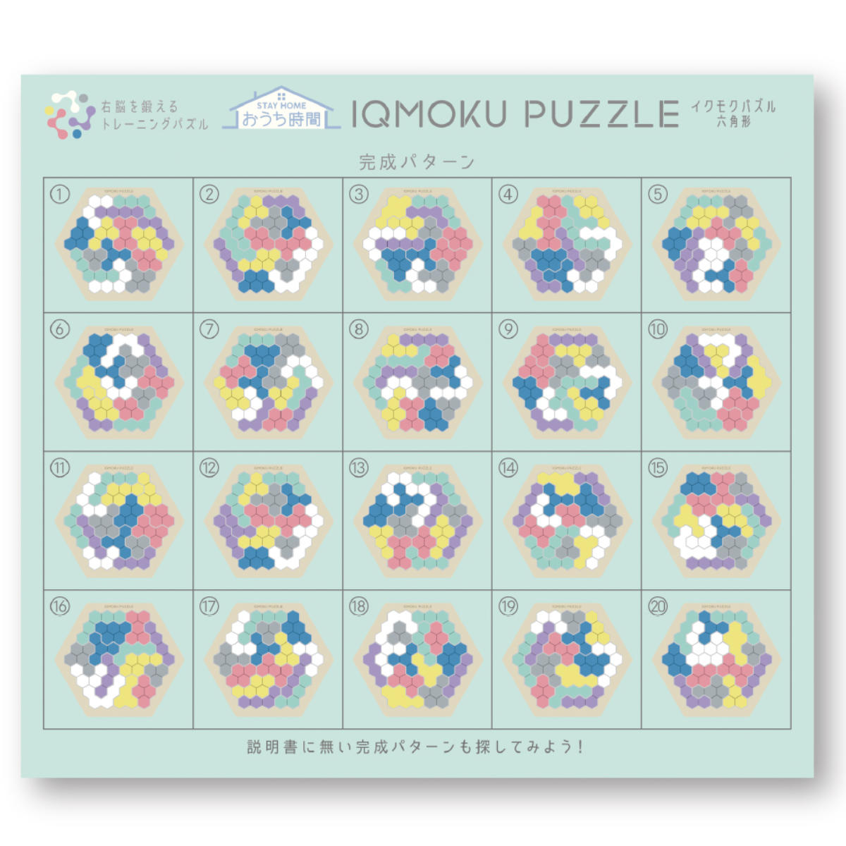 DEBIKA（デビカ） 知育玩具 イクモク木製知育パズル 六角形 6歳 小学生