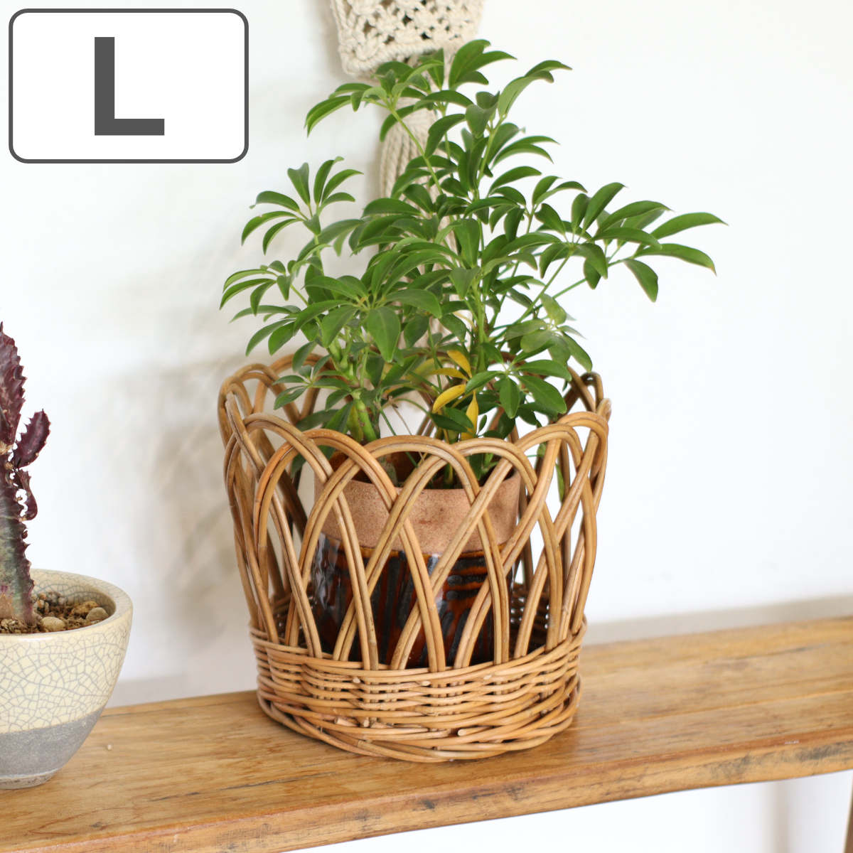 鉢カバー アラログ ポットカバーL （ かご カゴ 収納 ラタン 天然素材