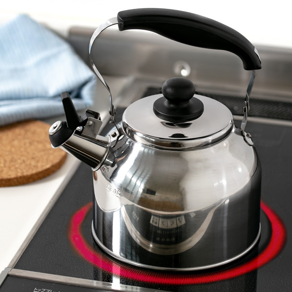 パール金属 ヤカン 笛吹きケトル 1.9L 広口タイプ デイトナプラス