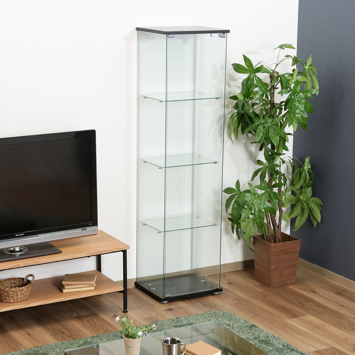 不二貿易（Fuji Boeki） コレクションケース 4段 幅42.5cm 4面ガラス