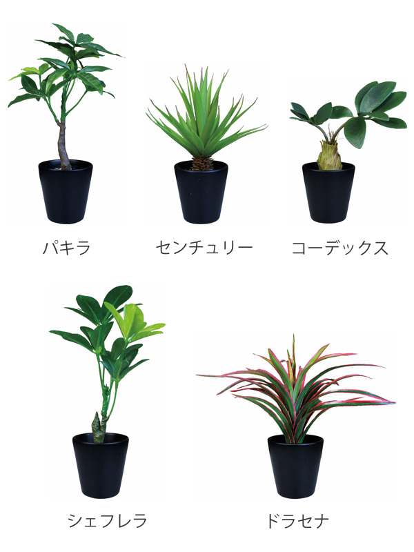 フェイクグリーン ブラックポットTS 光触媒 （ 人工観葉植物