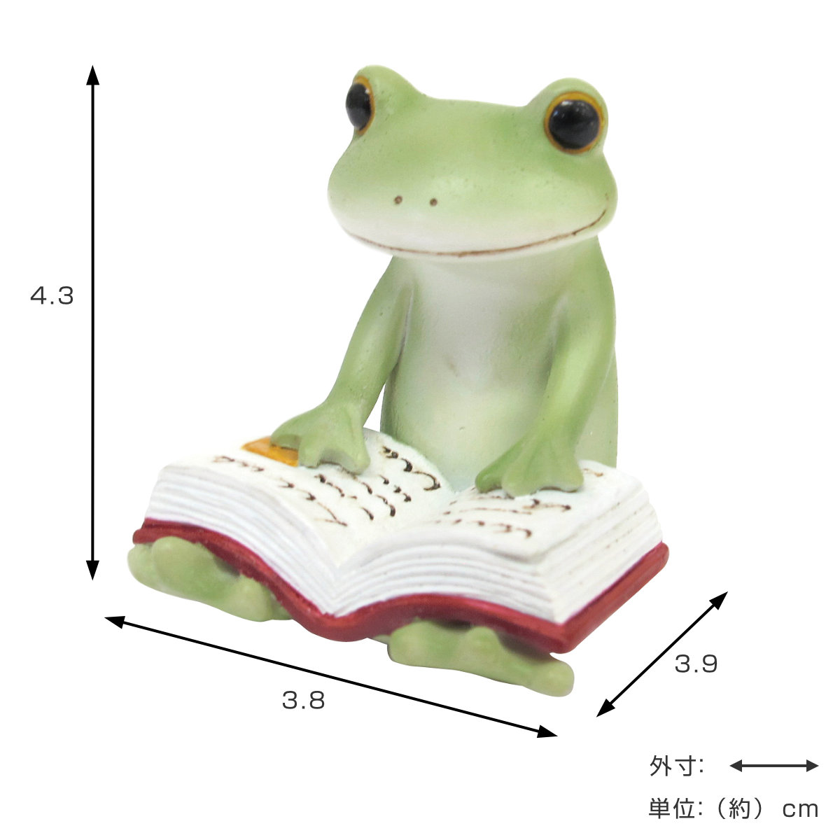 置き物 本読むカエル Copeau コポー （ カエル コポタロウ 置物 玄関