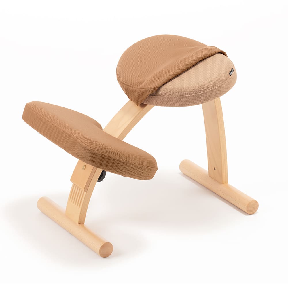 バランスラボ バランスチェア バランスチェアー バランスイージー