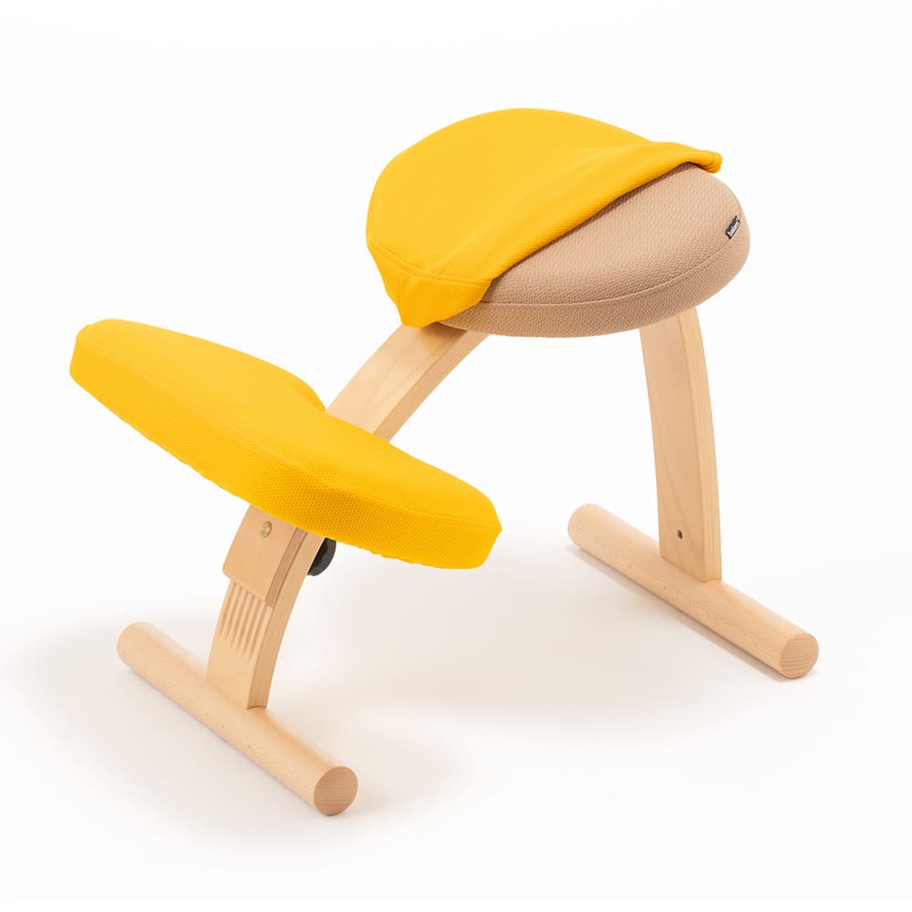 バランスラボ バランスチェア バランスチェアー バランスイージー