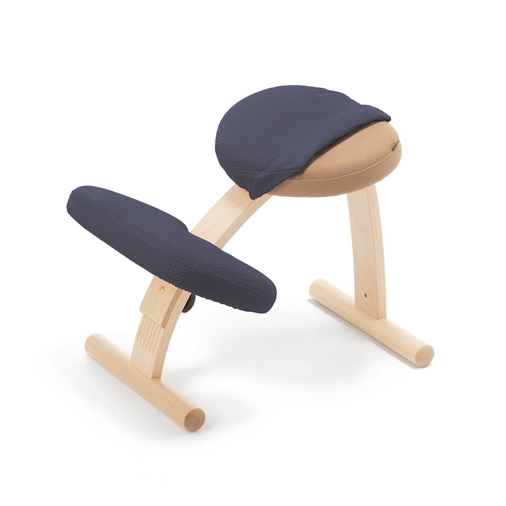 バランスラボ バランスチェア バランスチェアー バランスイージー