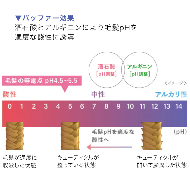 hoyu（ホーユー） プロマスター ケアプレックス2 670g|プレックス剤