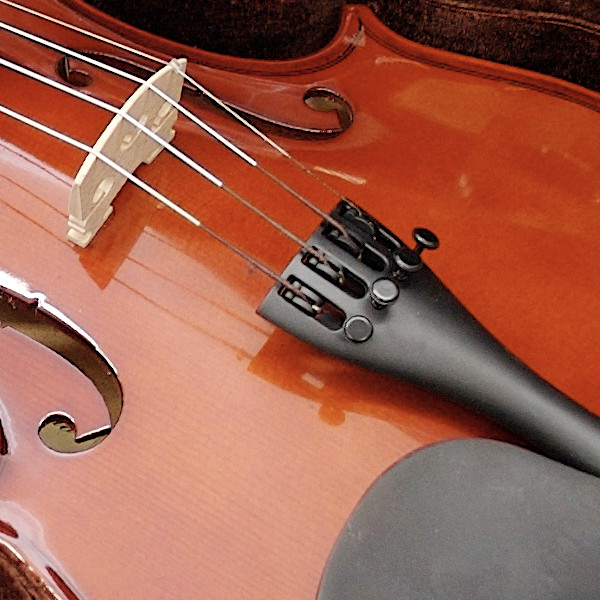 カルロジョルダーノ VS-1 4/4 バイオリンセット 初心者 入門用に