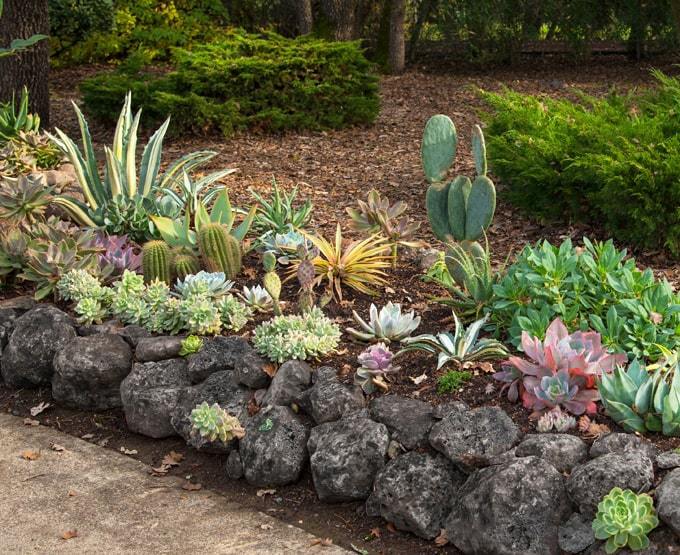 溶岩石 庭石 黒 庭 石 自然石 ロックガーデン ガーデニング ドライ