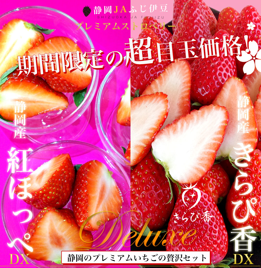 静岡県より産地直送 JAふじ伊豆 紅ほっぺ DX＋きらぴ香 DX（260g×4P