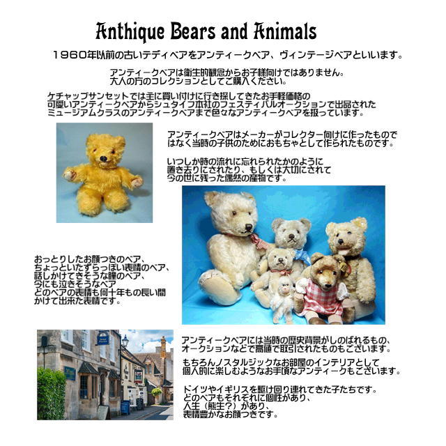 Steiff（シュタイフ） 少しお求めやすい価格にしました。テディベア