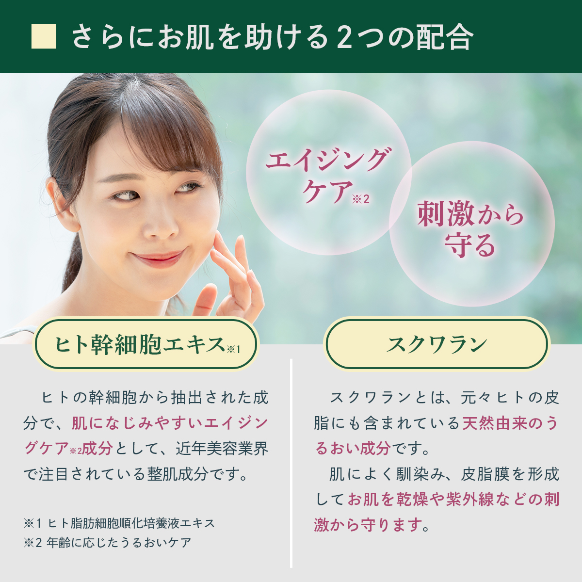 tsumugi シカクリーム ヒト幹細胞 CICAクリーム 50g ツボクサエキス