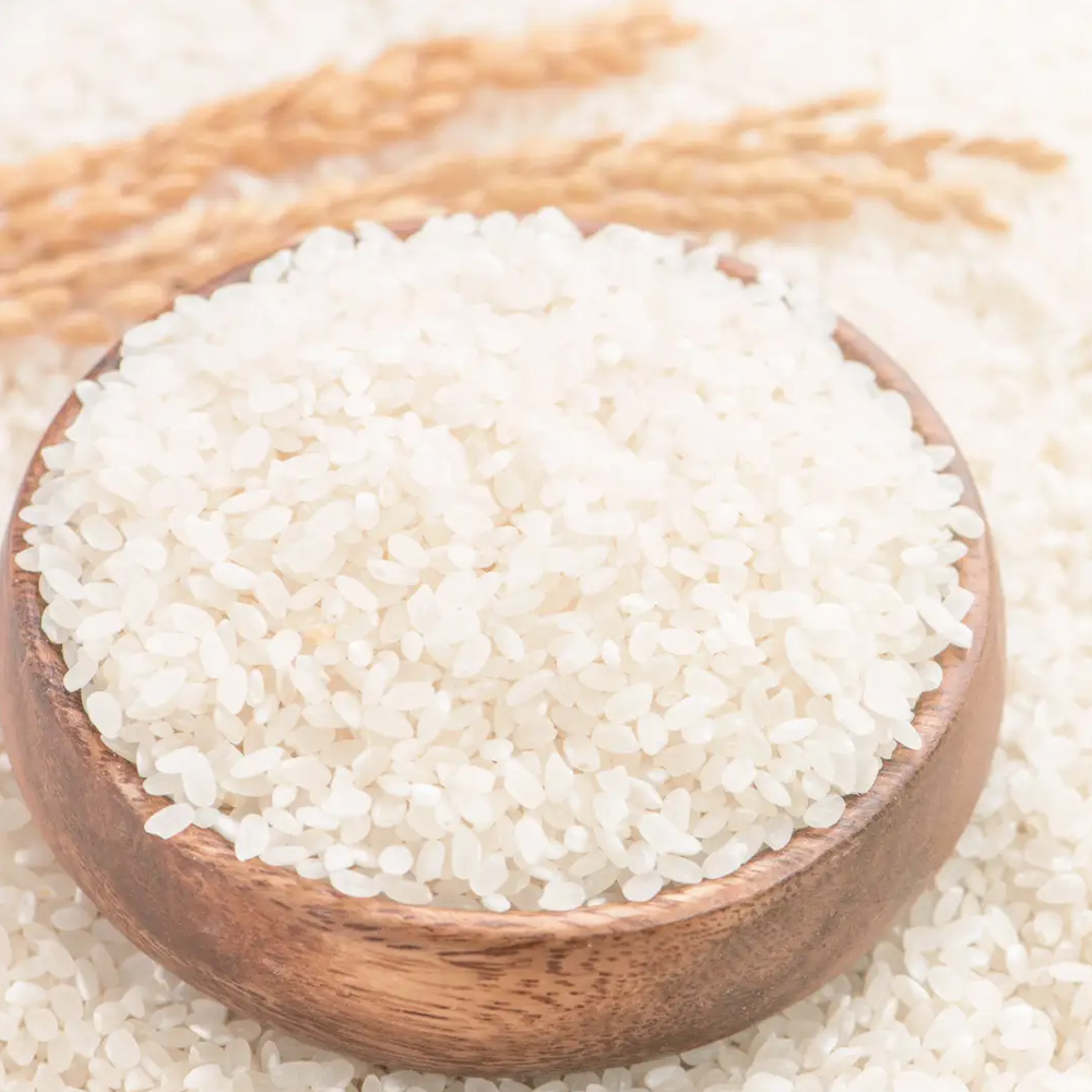 2024年NEW 桑の葉美人青汁(抹茶風味) 正規品 機能性表示食品 1箱 150g