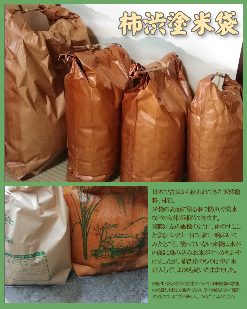 柿渋塗 米袋 10kg 3枚セット B級品塗ムラ 無地 3回塗 ※ニオイあり 備後