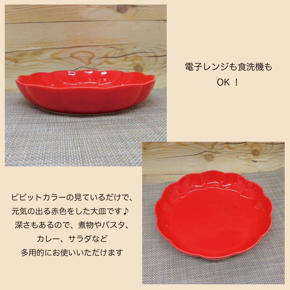 皿 有田焼 菊割浅鉢（レッド） 浅鉢 大皿 盛り鉢 赤色 煮物 パスタ