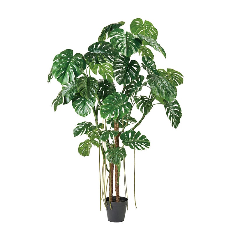 アスカ商会 造花・観葉植物 A-50813 モンステラ #051A グリ-ン ポット