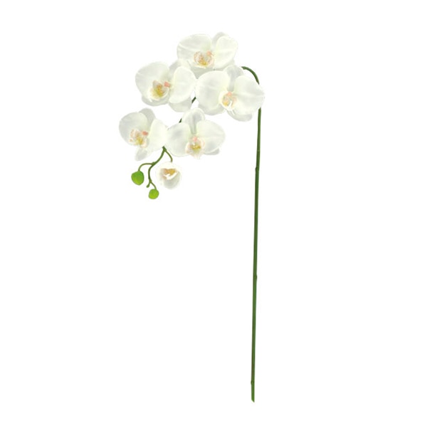 ドガ 胡蝶蘭 S ホワイト FLS-5183-S 1本（ご注文単位1本）【直送品