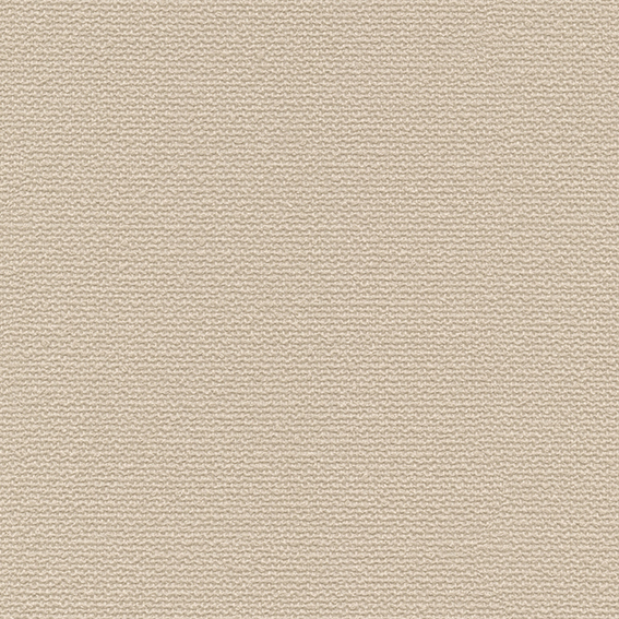 シンコール | RJ4893 | 2024 リフォーム上手