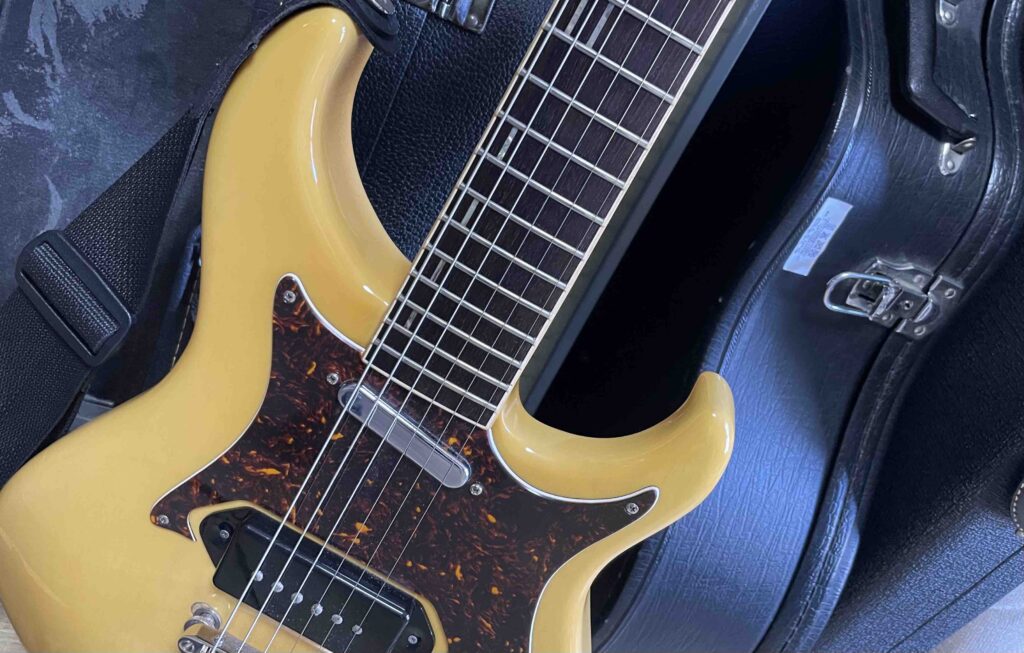 HX STOMPで使えるおすすめエクスプレッションペダル【MeloAudio/EXP