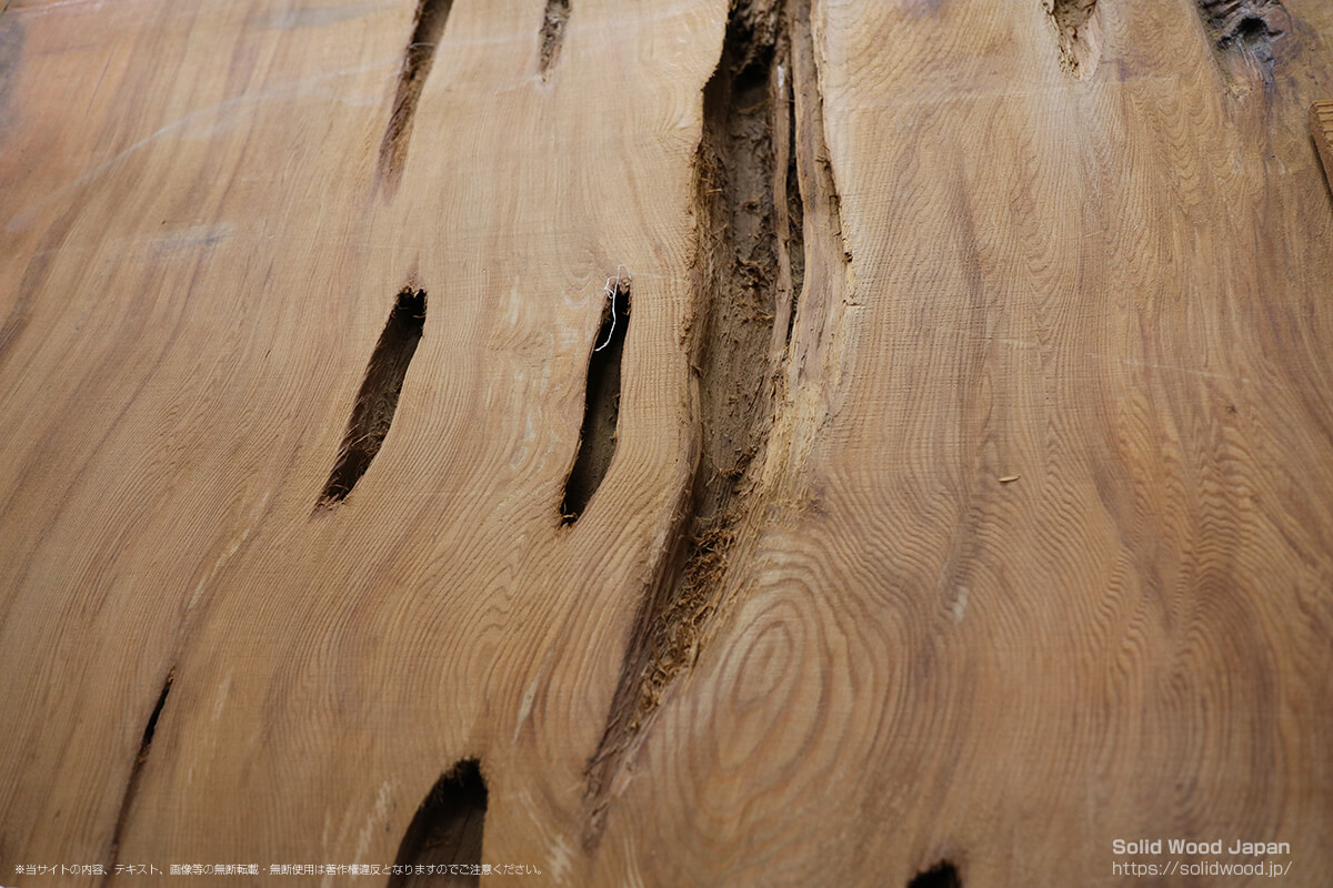 ヤクスギ（屋久杉）の一枚板 | 無垢材とは | 一枚板比較