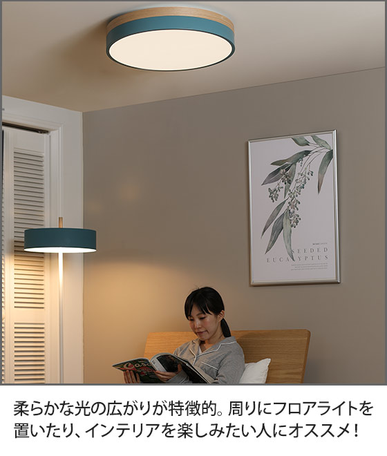 OLIKA LED CEILING LIGHT | セレクトショップ・AQUA（アクア）