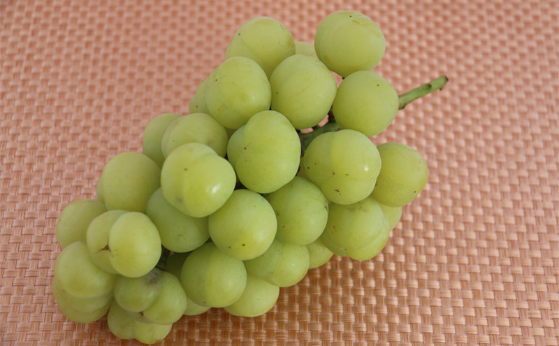 2026年先行予約】 ぶどう 岡山県産 たたらみねらる シャインマスカット