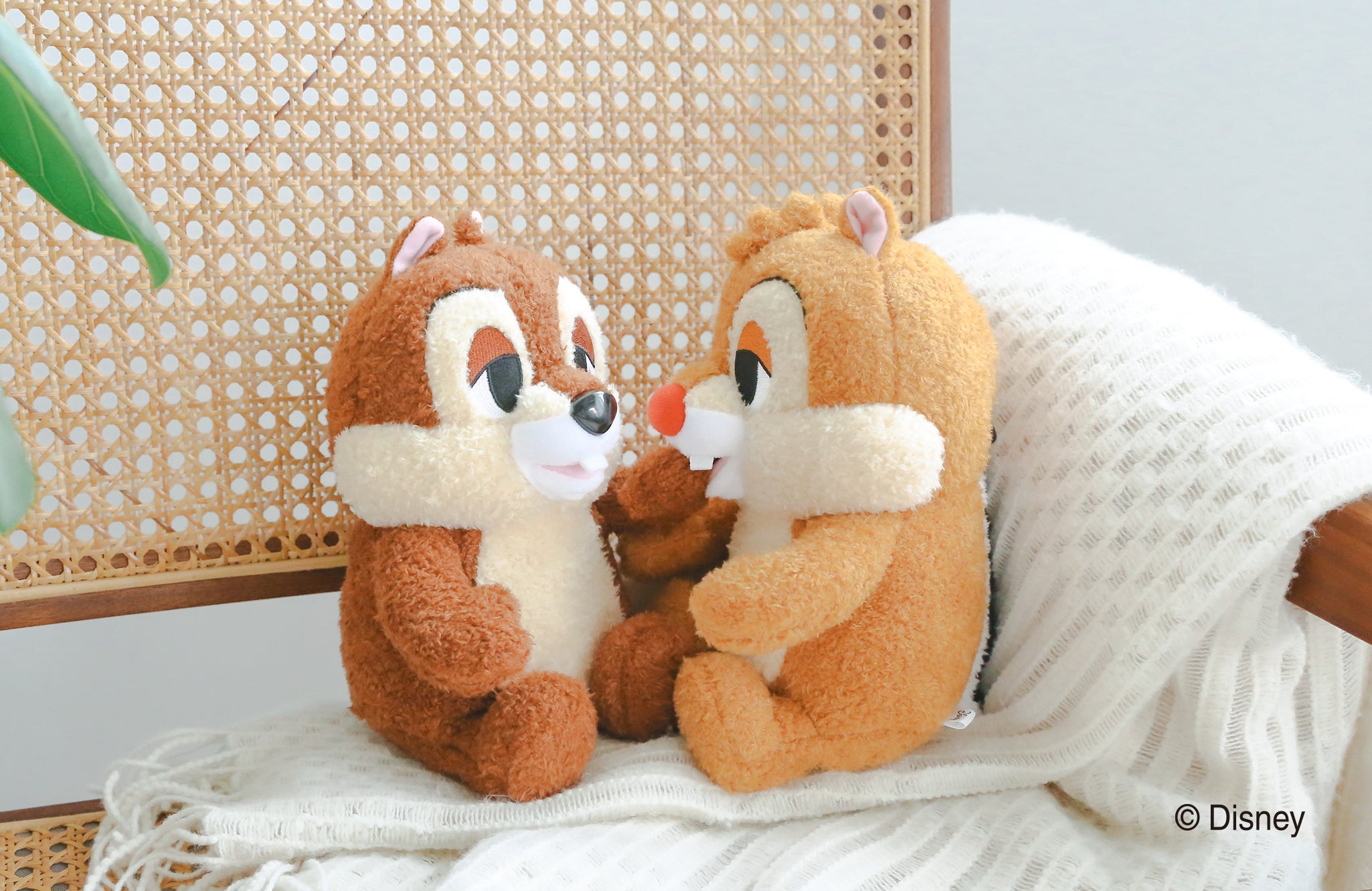 img_chip-dale_08.jpg?v=