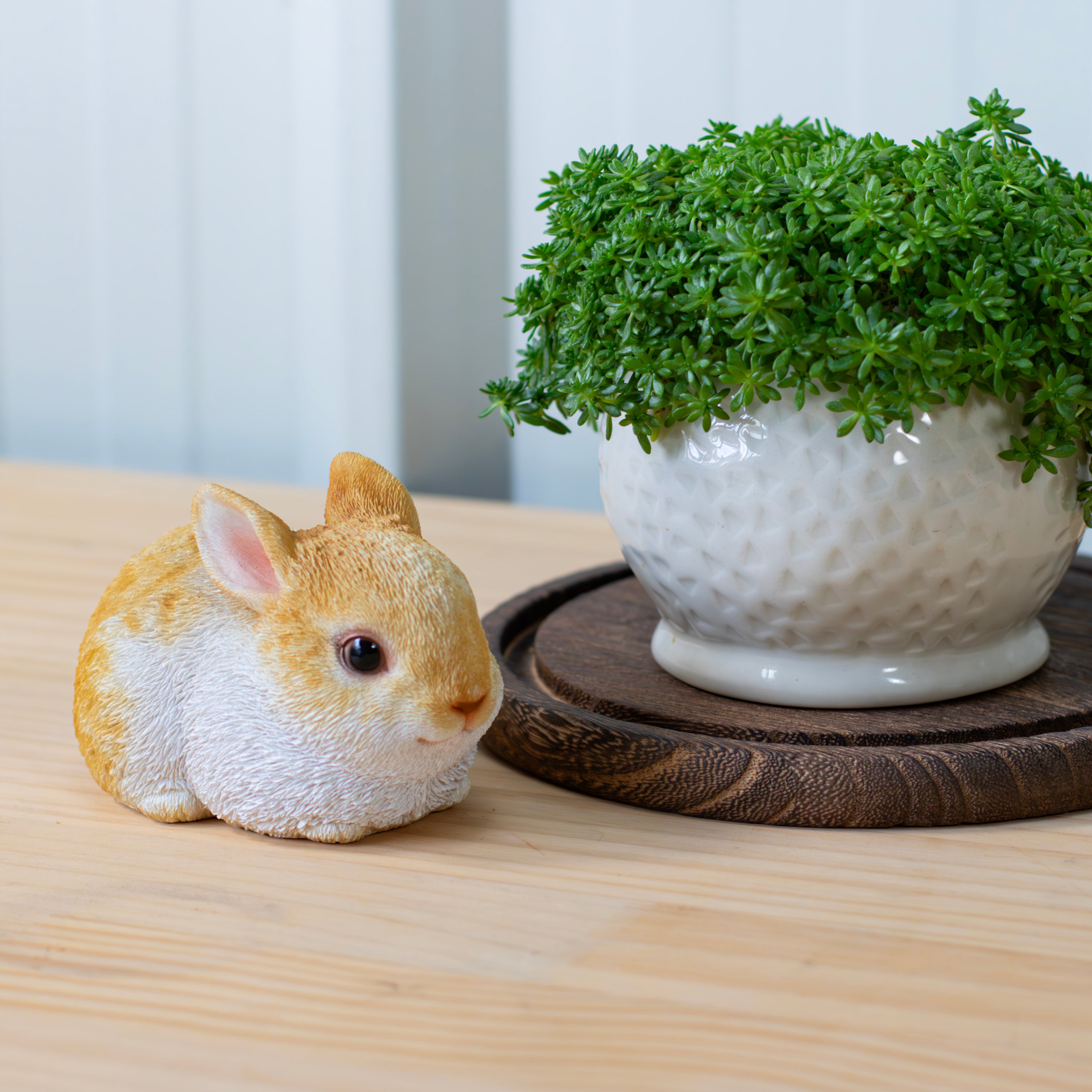 しゃがむウサギ｜WooBia公式オンラインショップ – WooBia（ウービア