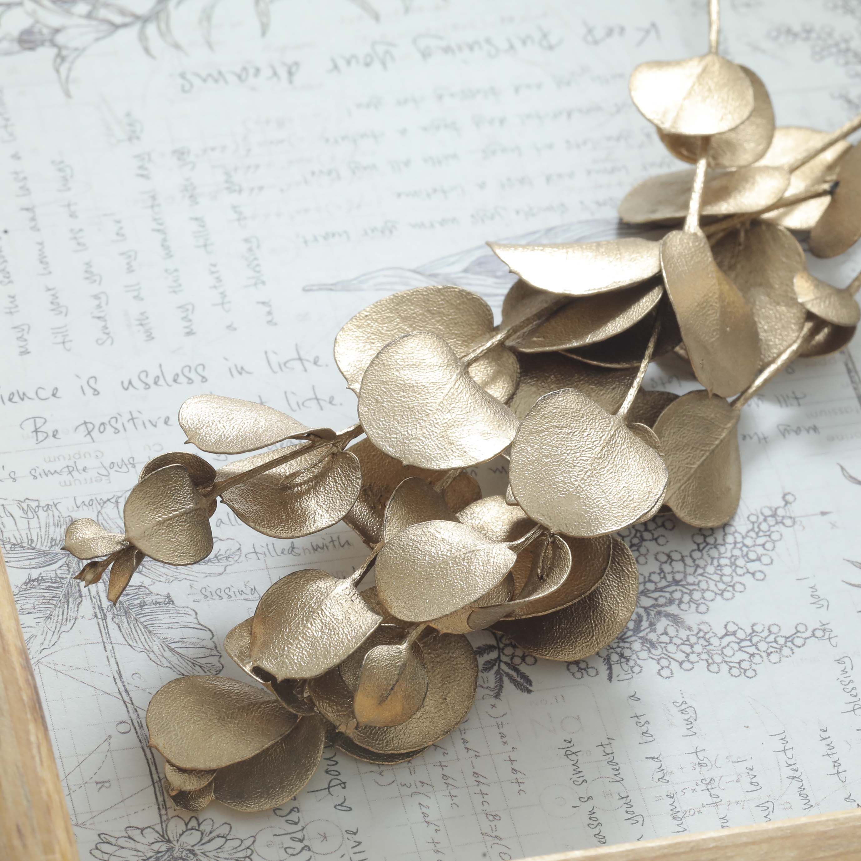 小分け】ドライフラワー 花材 ユーカリグニー ゴールド | クロッチャ