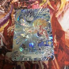 m10406076088_1.jpg?1715331475