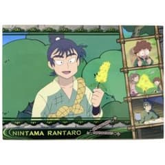 m27564004299_1.jpg?1736082793