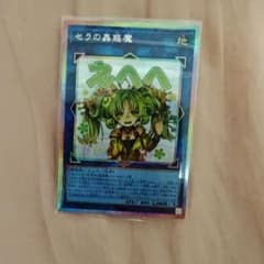 m37492592988_1.jpg?1765598608