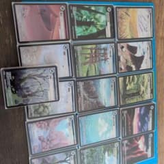 大量追加しました】アニマルカードゲーム 領土カードPR クラファン限定