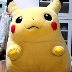 m39151150726_1.jpg?1725159318