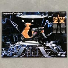 m46343201061_1.jpg?1756520490