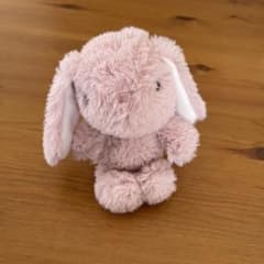 ニトリ うさぎ クタクタぬいぐるみ (ラビットRO S) - メルカリ