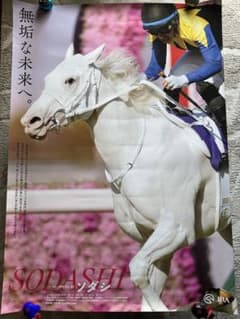 m66368856925_1.jpg?1722148522