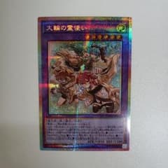 遊戯王 大輪の霊使い プリシク - メルカリ