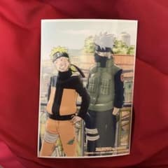 m74016198017_1.jpg?1715847392