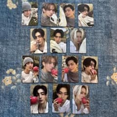 ENHYPEN THE SIN : VANISH トレカ14枚セット - メルカリ