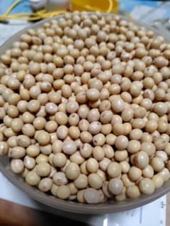 すずはな様専用岐阜県産低農薬大豆フクユタカ15キロ - メルカリ